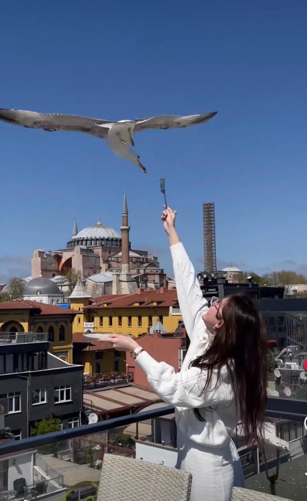 Byzantium Comfort Hotel Istanbul Eksteriør billede